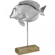 Dekoratyvinė žuvytė, jūrinė puošmena, žuvytė iš metalo sidabro, natūralios spalvos H28,5cm