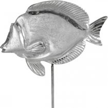Dekoratyvinė žuvytė, jūrinė puošmena, žuvytė iš metalo sidabro, natūralios spalvos H28,5cm