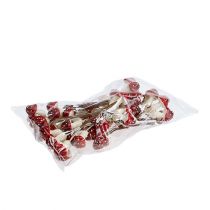 daiktų Musmirė ant vielos 12 t.