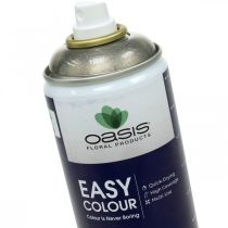 Glitter Spray Silver Flitter Easy Color Color Spray 400ml