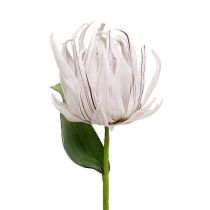 Putplasčio gėlė balta, violetinė 12cm L30cm 1vnt