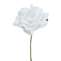 daiktų Putplasčio rožė Ø 7,5cm balta 18vnt