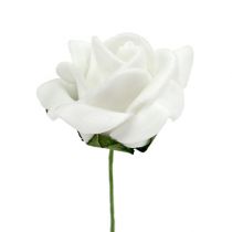 daiktų Putplasčio rožė Ø 3,5cm balta 48 vnt