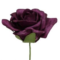daiktų Putplasčio rožės Ø7,5cm Violetinė 18 vnt