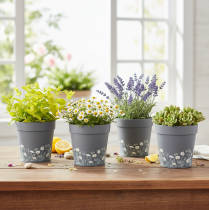 daiktų Gėlių vazonas su gėlių raštu moderniems namams ir vasaros balkono dekoravimui, 13 cm, 4 vnt.