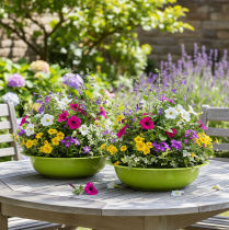 daiktų Sodinimo padėklas patraukliam augalų dekoravimui svetainėje, 29 cm, 2 vnt.