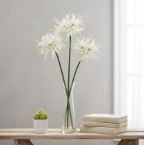 daiktų Nerine Guernsey lelijos dirbtinė gėlė balta geltona Ø15cm L65cm