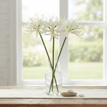 daiktų Nerine Guernsey lelijos dirbtinė gėlė balta geltona Ø15cm L65cm