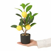 daiktų Dirbtinis citrinmedis, 28 cm vazonas, žalias, geltonas