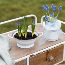 daiktų Metalinis dekoratyvinis dubuo, baltas ir juodas, Ø16,5 cm, aukštis 6,5 cm, 4 dalys