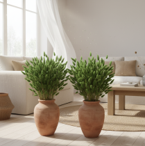 daiktų Džiovintos kiškio žolės (Lagurus) 65-70 cm 100 g