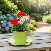 daiktų Dekoratyviniai metaliniai arbatos puodeliai su lėkštute, šviesiai žali, Ø12, aukštis 10 cm, 8 vnt.