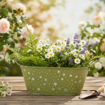 daiktų Ovalus metalinis dubuo su žvaigždutėmis ir rankenėlėmis, žalias, 31 × 16 cm, aukštis 12,5 cm