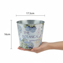 daiktų Mažas metalinis gėlių vazonas/sodintuvas hortenzijai, Ø17,5 cm, aukštis 16 cm