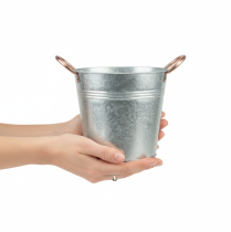 daiktų Metalinis gėlių vazonas su rankenomis, dekoratyvinis kibiras, Ø16cm, aukštis15cm