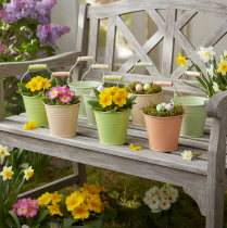 daiktų Kibiras su rankena raktažolių vazonas metalinis pastelinis 11,5 × 8,5 cm 8 vnt.