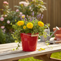 daiktų Dekoratyvinis metalinis kibiras/vazonas, raudonas, Ø22cm, aukštis21.5cm, 6L