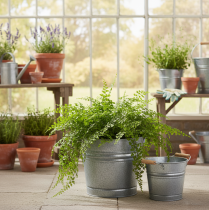 daiktų Vintažinis dekoratyvinis metalinis kibirinis vazonas-vazonas, Ø22cm, aukštis20cm