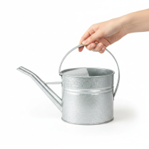daiktų Vintažinė dekoratyvinė laistytuvė, metalinė, sidabrinė, 1,25 l vazonas