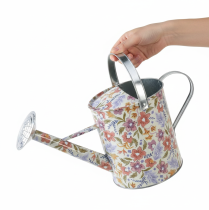 daiktų Dekoratyvinis metalinis laistytuvas, vintažinis gėlių vazonas, Ø18cm