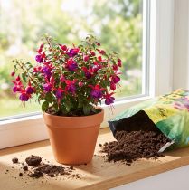 daiktų „FlorBest“ sodininko vazoninis dirvožemis su natūraliu moliu ir lėtai išsiskiriančiomis trąšomis, 5 l