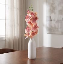 daiktų Orchid Phalaenopsis dirbtiniai 9 žiedai rožinė vanilė 96cm