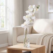 daiktų Dirbtinė orchidėja dirbtinė gėlė balta Ø6,5-8cm 77cm