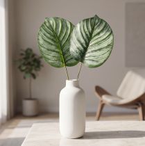 daiktų Calathea dirbtinis krepšelis Marante dirbtiniai augalai žalias 51cm