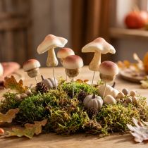 daiktų Dekoratyviniai grybai rudiems dekoratyviniams grybams klijuoti ruduo 3,5/5,5cm 16 vnt