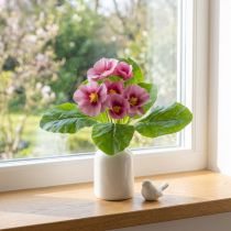 daiktų Raktažolės Dirbtinės gėlės Cowslips Pink H25cm
