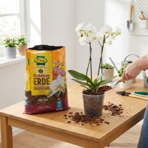 daiktų FRUX Soil orchidėjų dirvožemis (5 l)