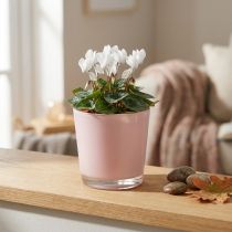 daiktų Gėlių vazonas stiklinis sodintuvas rožinis stiklinis kibiras Ø10cm A8.5cm