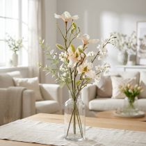 daiktų Magnolijos persikas 85 cm