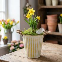 daiktų Metalinis vazonas, pavasarinė dekoracija, sodintuvas su rankenėlėmis, geltonos spalvos, shabby chic stiliaus, Ø18cm, aukštis17.5cm