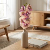 daiktų Orchid Phalaenopsis dirbtinis 7 žiedai purpurinis kremas 73cm