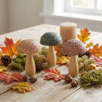 daiktų Mediniai grybai dekoratyviniai grybai rudens puošmena mediniai asorti 11×7,5cm 3vnt