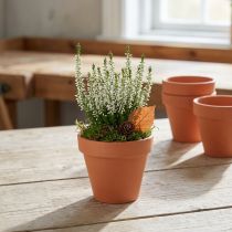 daiktų Gėlių vazonas molis Ø8cm aukštis 7cm 10vnt
