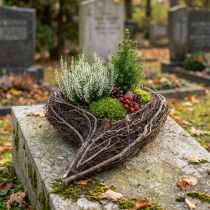daiktų Pintos vijoklinio augalo širdelės, natūralios, 15x23x5cm, dekoratyvinės širdelės kapų dekoracijoms ir memorialiniams gėlių papuošimams, 4 vnt. rinkinys