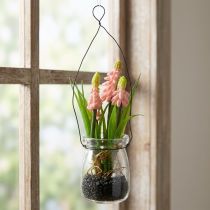 daiktų Vynuogių hiacintas dirbtinis rožinis stiklinėje 16cm