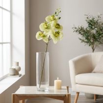 daiktų Orchidėja Dirbtinė geltona žalia Phalaenopsis 85cm