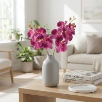 daiktų Orchidėja liepsna dirbtinė Phalaenopsis violetinė 72cm