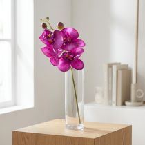 daiktų Orchidėja Dirbtinis Phalaenopsis 4 gėlės Fuksijos 72cm