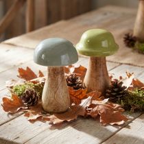 daiktų Mediniai grybai dekoratyviniai grybai medžio pilkai žalia Ø6cm H10cm 2vnt