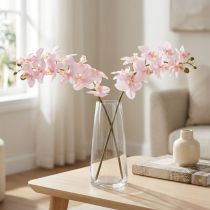 daiktų Dirbtinės Orchidėjos Šviesiai Rožinės Dirbtinės Gėlės Real Touch 58cm 2vnt
