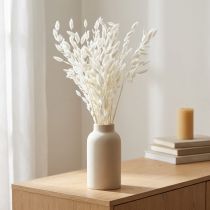 daiktų Plokščiaašė sausoji žolė Chasmantium White 70cm 10 vnt.