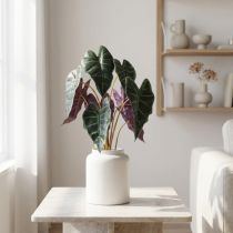 daiktų Alokazija arrow lapų žalia, violetinė dirbtinis augalas H48cm