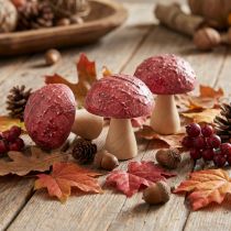 daiktų Mediniai grybai Dekoratyviniai grybai Stalo puošmena Rudens raudona Natūrali 5×6cm 9vnt