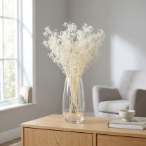 daiktų Gypsophila baltos džiovintos žolės dekoravimo kremas 65-70cm 100g