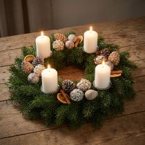daiktų Egzotiški kūgiai Leucodendron white skalbti 3-4cm 450g