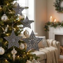 daiktų Puansetija su ornamentais sidabro pilka asorti 8cm - 12cm 9 vnt